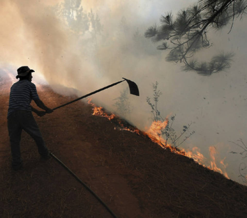 MÃs de 90 mil hectÃreas de bosque destruyeron incendios en Honduras