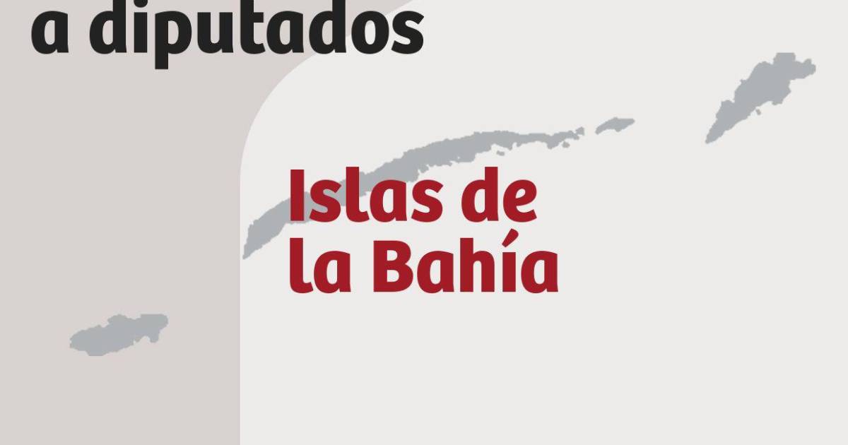 Precandidatos A Diputados Por El Departamento De Islas De La Bah A