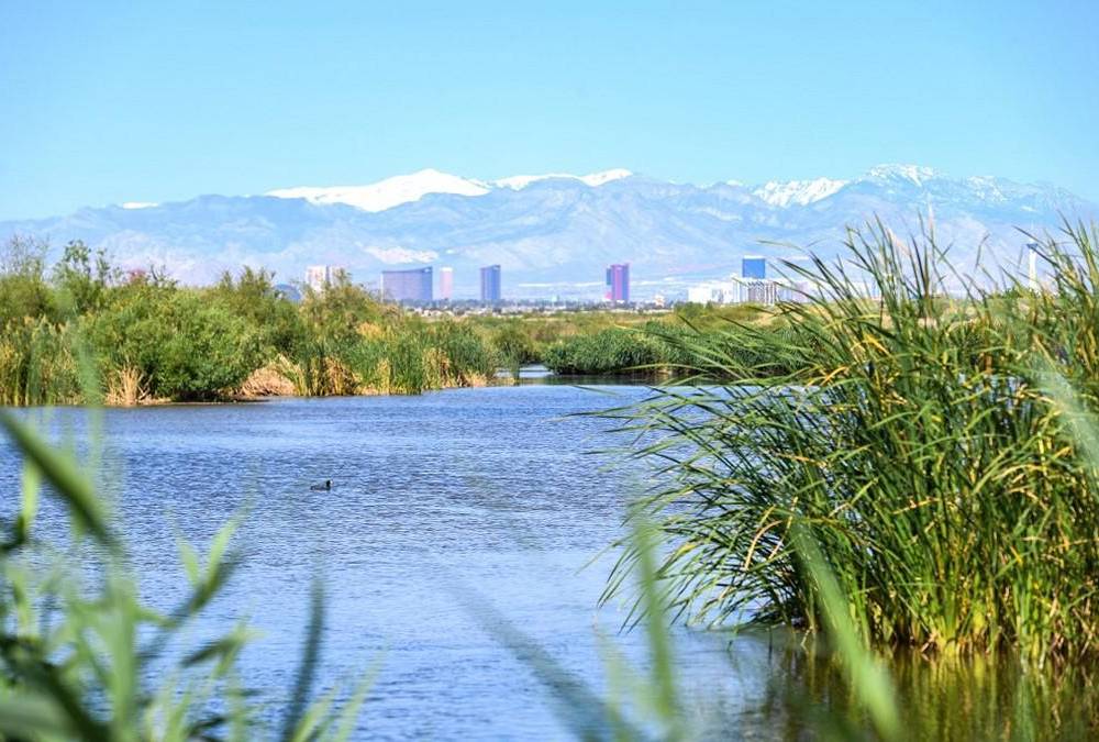 Las Vegas, una visión hecha realidad, un oasis en el desierto