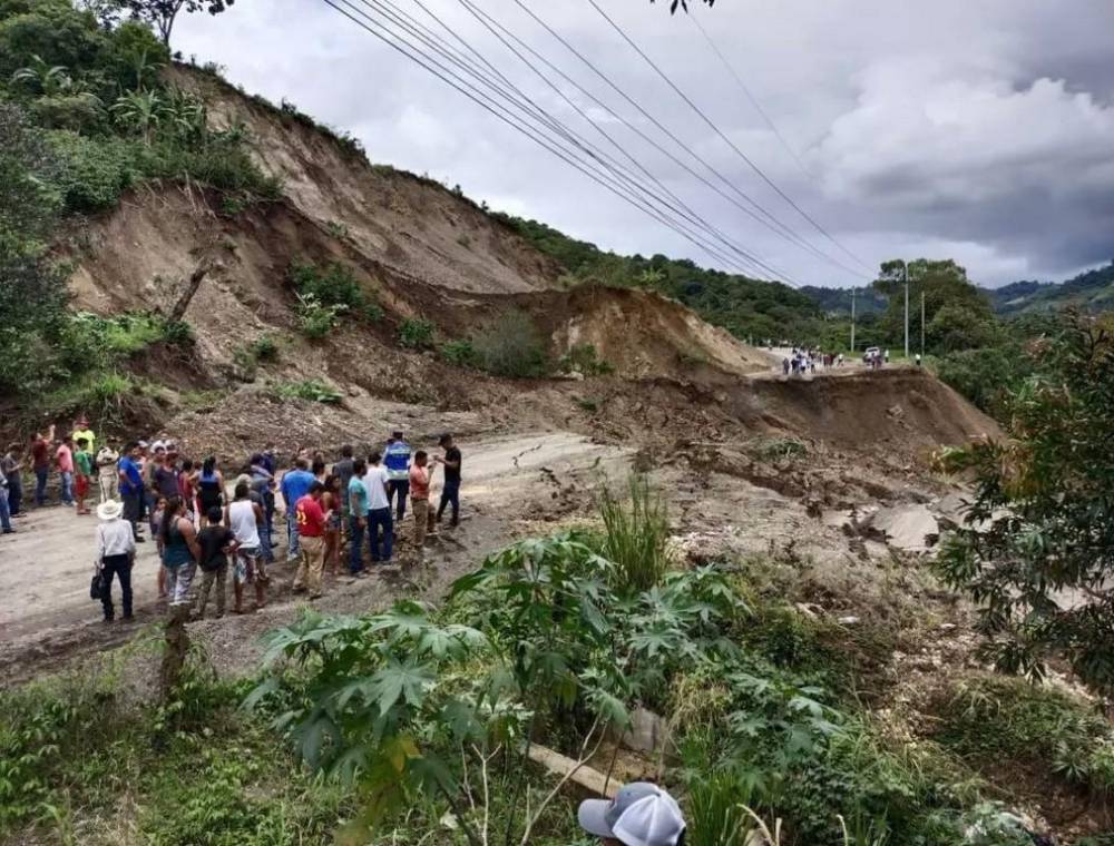 DeTodo Honduras - ¡Que no se queden en tu casa! Tenemos trampas de