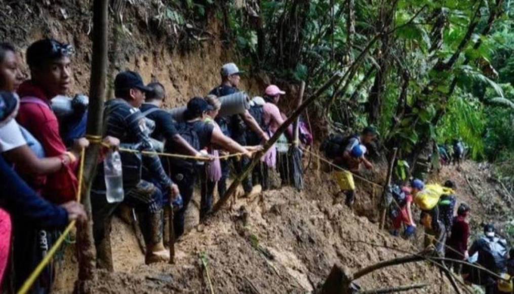 La selva del Darién: mafias, violencia sexual y animales, los peligros del conocido “tapón” de los migrantes