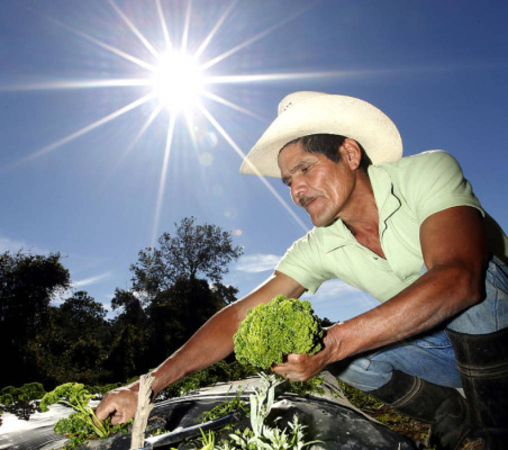 El encuentro de dos pueblos hermanos