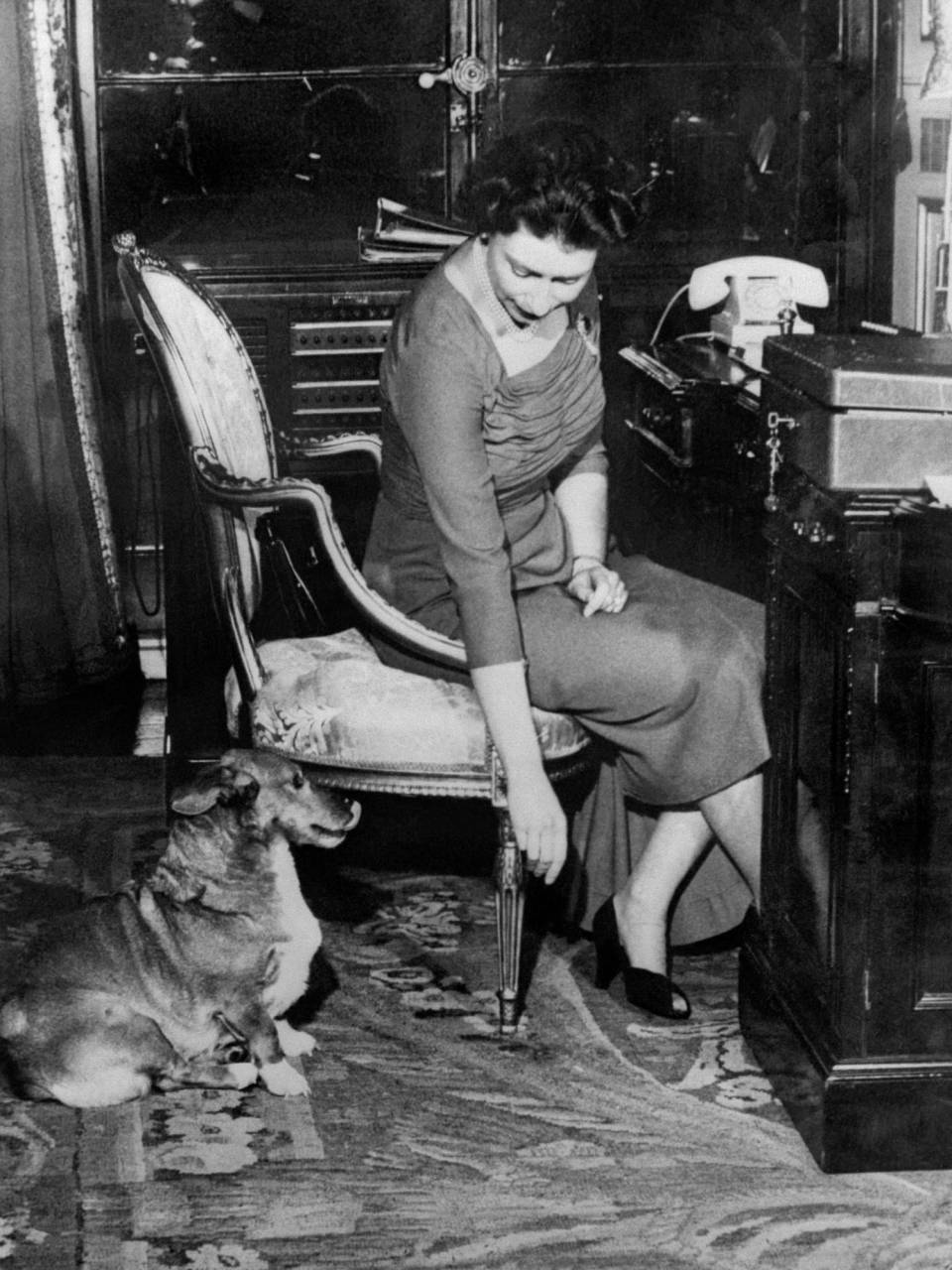 En esta foto de archivo tomada el 31 de enero de 1959, la reina Isabel II de Gran Bretaña aparece en su oficina con su perro Corgis Susan.