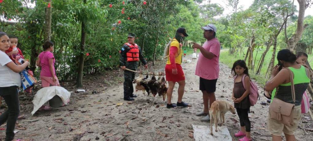 Sacados en brazos, con pocas pertenencias y sus animalitos: el drama que viven familias evacuadas (Fotos)