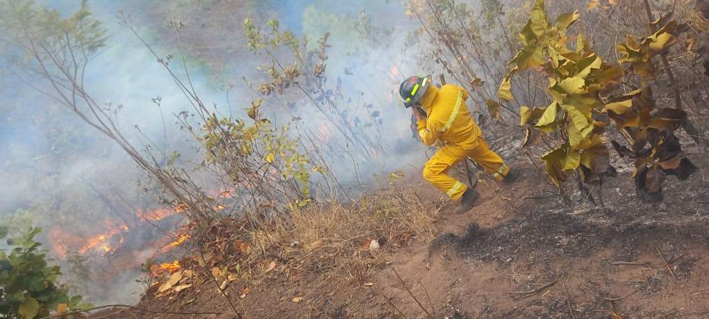 Las imágenes del pavoroso incendio que no ha podido sofocarse en Santa Lucía