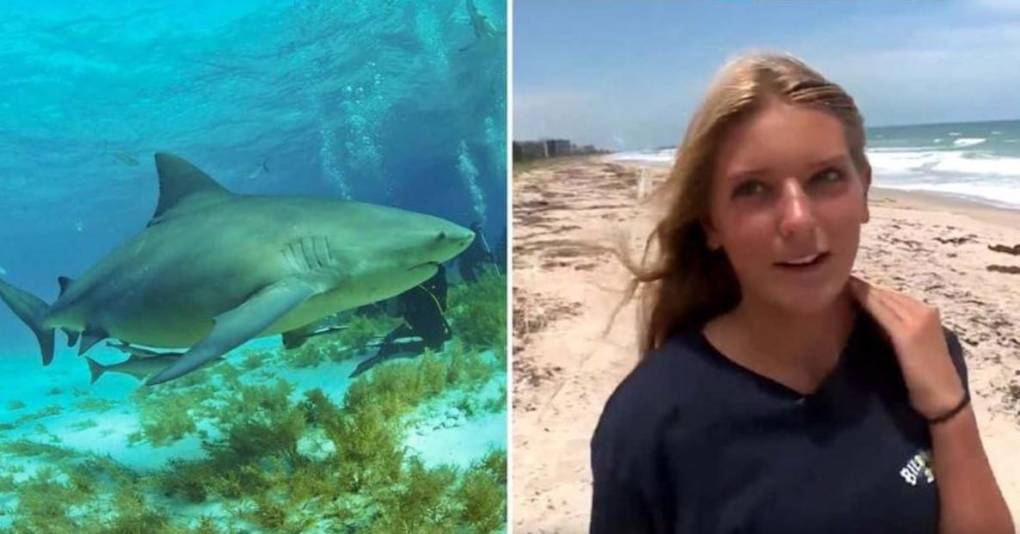 Ellen Reed, la niña de 13 años que peleó contra un tiburón en Florida