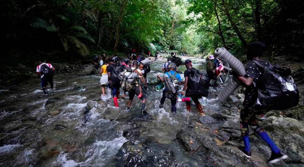 La selva del Darién: mafias, violencia sexual y animales, los peligros del conocido “tapón” de los migrantes