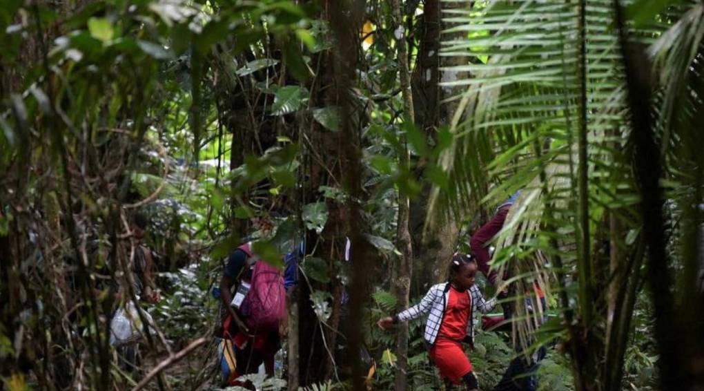 La selva del Darién: mafias, violencia sexual y animales, los peligros del conocido “tapón” de los migrantes