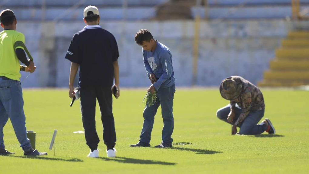 ¡Una lindura! Así quedó la grama híbrida en el estadio Morazán