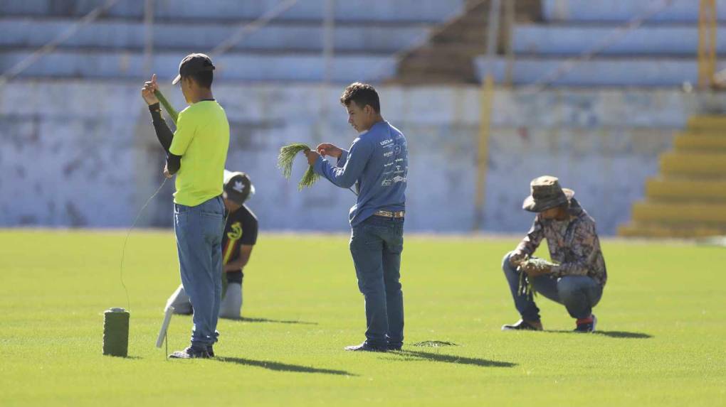 ¡Una lindura! Así quedó la grama híbrida en el estadio Morazán