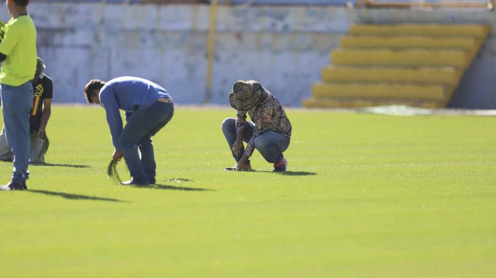 ¡Una lindura! Así quedó la grama híbrida en el estadio Morazán