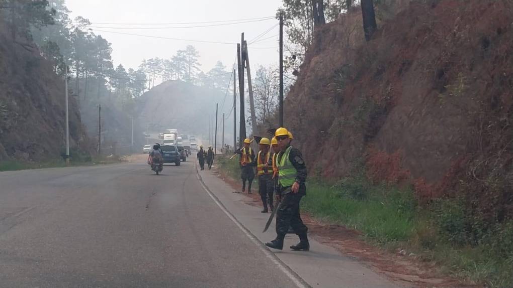 Así consume el bosque incendio desatado en el cerro de Uyuca