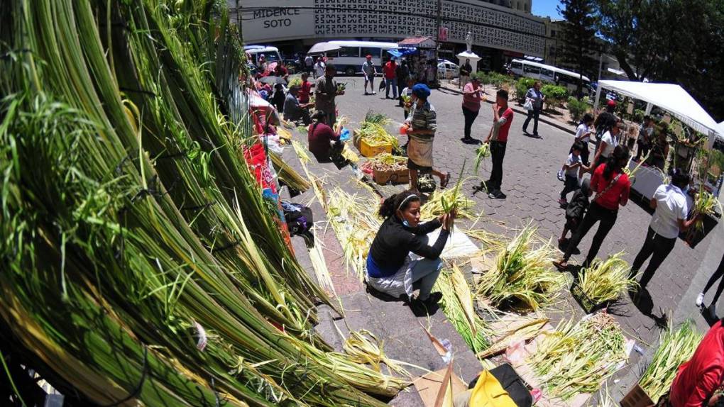 Tegucigalpa se llena de verde y olor a palma en víspera de Domingo de Ramos