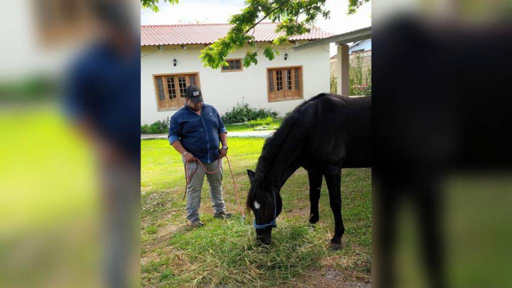 Padre amoroso y amante de los animales: la vida de Héctor Alemán, el empresario asesinado en Olancho