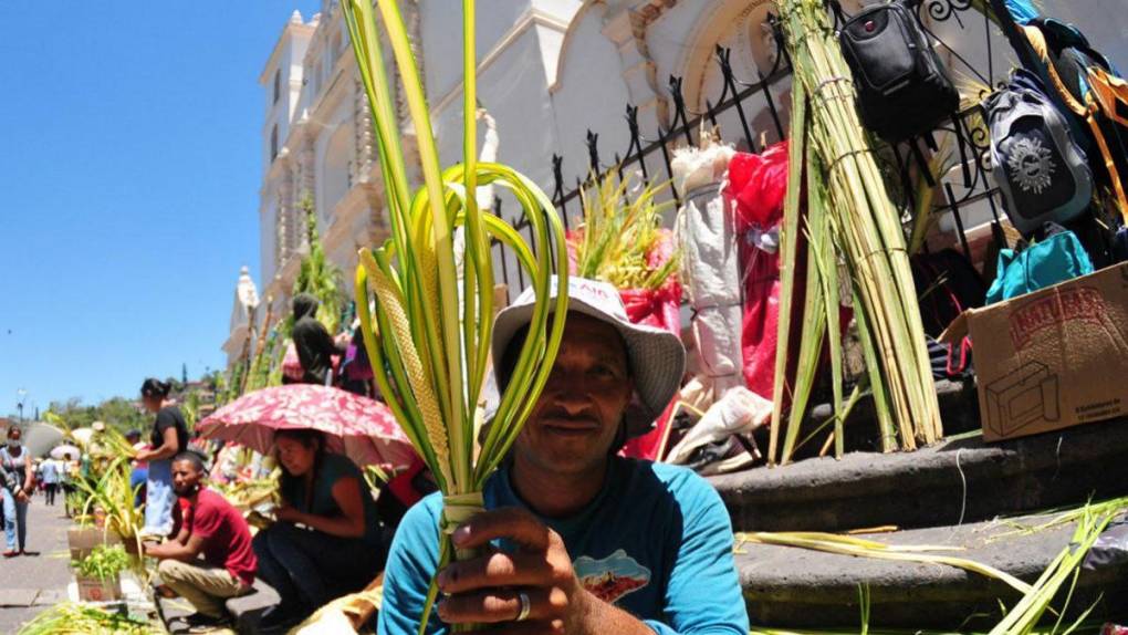 Tegucigalpa se llena de verde y olor a palma en víspera de Domingo de Ramos