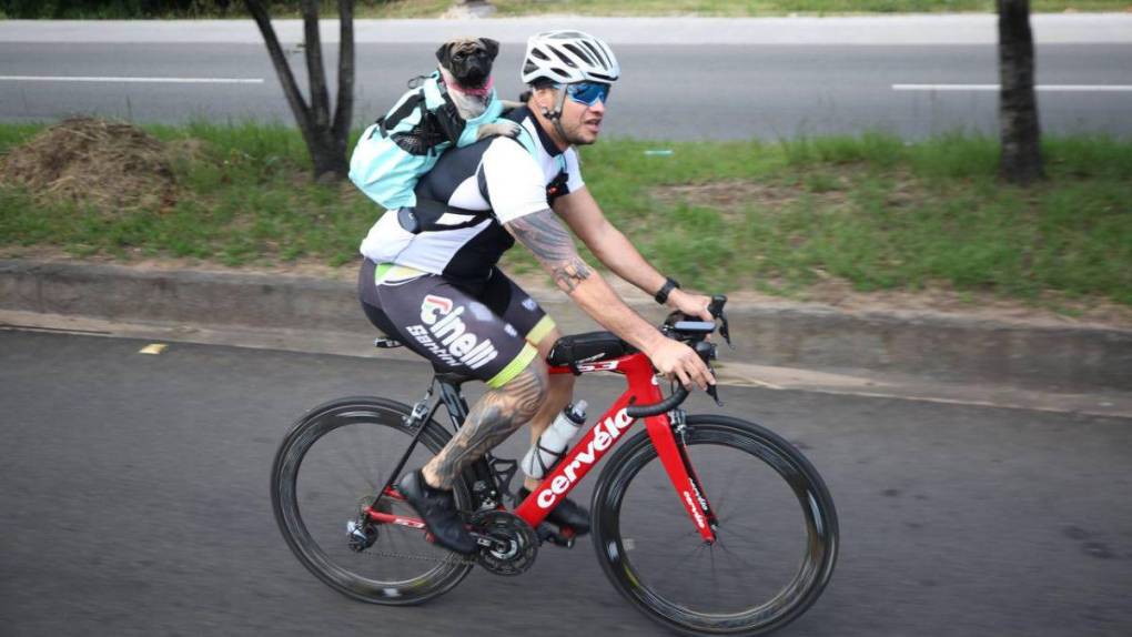 Mascotas y ciclismo, la combinación que impulsa a algunos profesionales de las dos ruedas