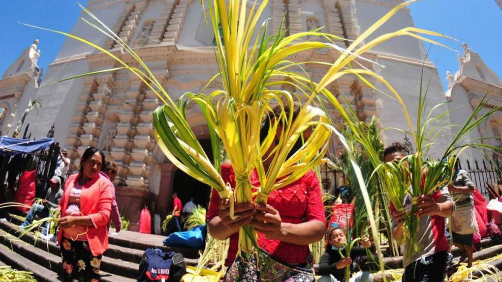 Tegucigalpa se llena de verde y olor a palma en víspera de Domingo de Ramos