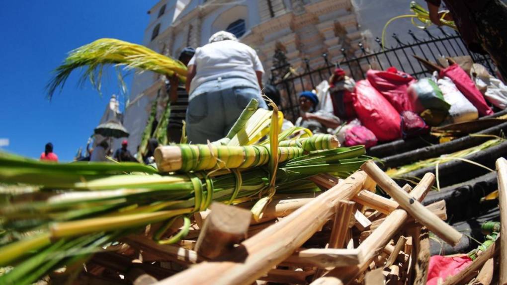 Tegucigalpa se llena de verde y olor a palma en víspera de Domingo de Ramos