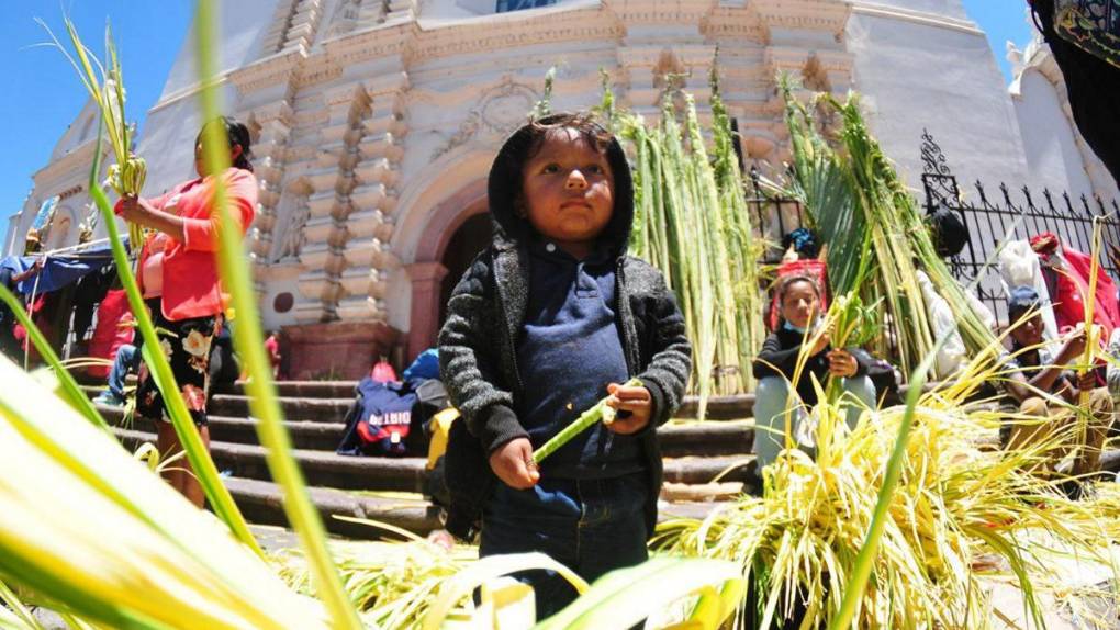 Tegucigalpa se llena de verde y olor a palma en víspera de Domingo de Ramos