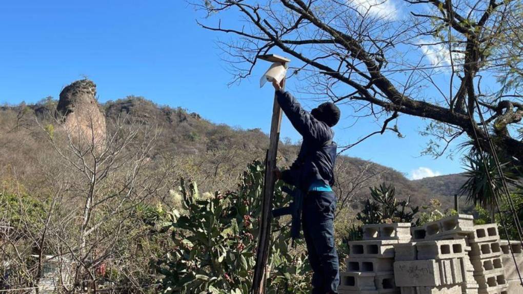 Policía desmantela sofisticada red de cámaras colocadas por pandilleros en colonias capitalinas