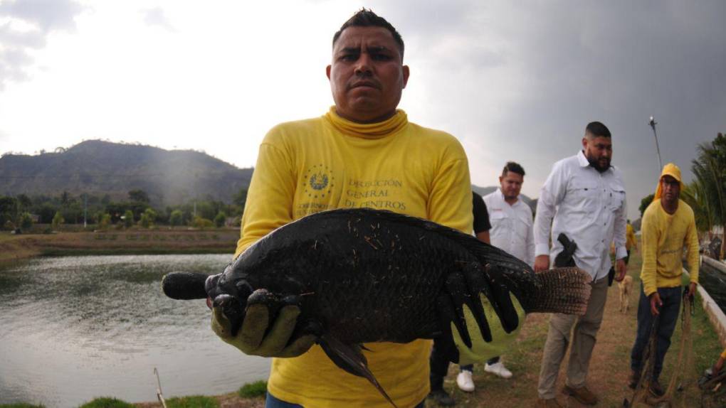 Santa Ana, la cárcel convertida en granja, carpintería y pastelería en El Salvador