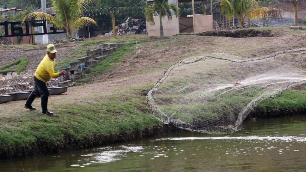 Santa Ana, la cárcel convertida en granja, carpintería y pastelería en El Salvador