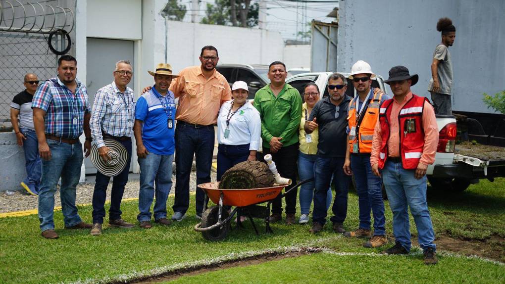 Fin a la pesadilla: comienzan los trabajos para cambiar la grama del Estadio Morazán