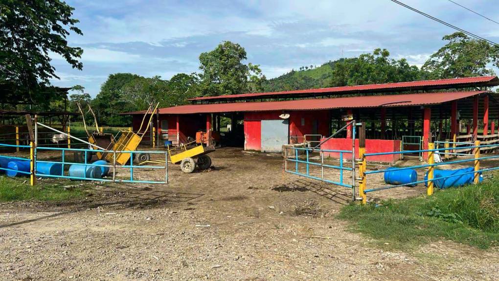 Carros de lujo, casas y lanchas: las incautaciones a la banda que lideraba el “Pescado” Bonilla