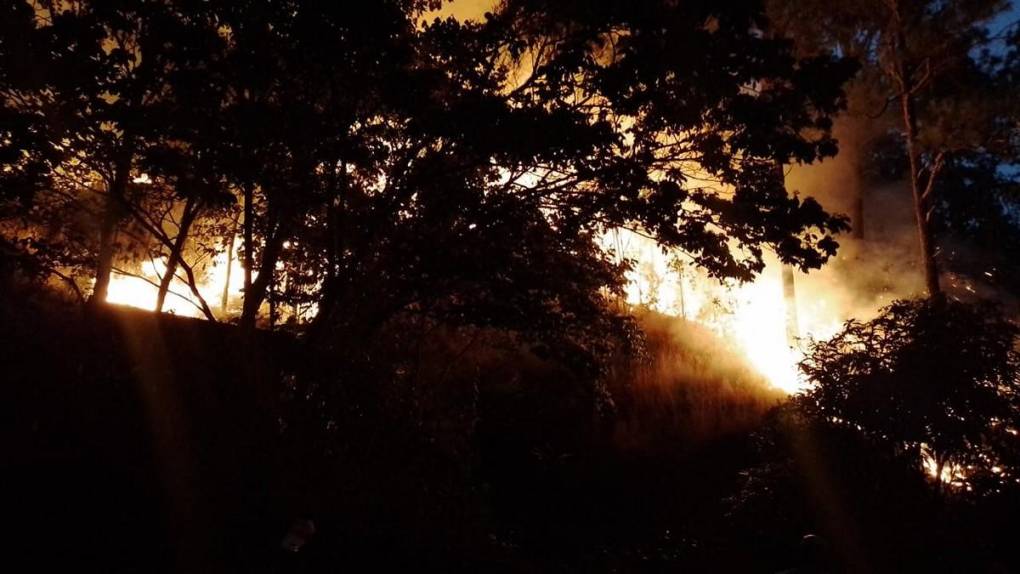 Arde La Tigra: impactantes imágenes del incendio forestal de gran magnitud