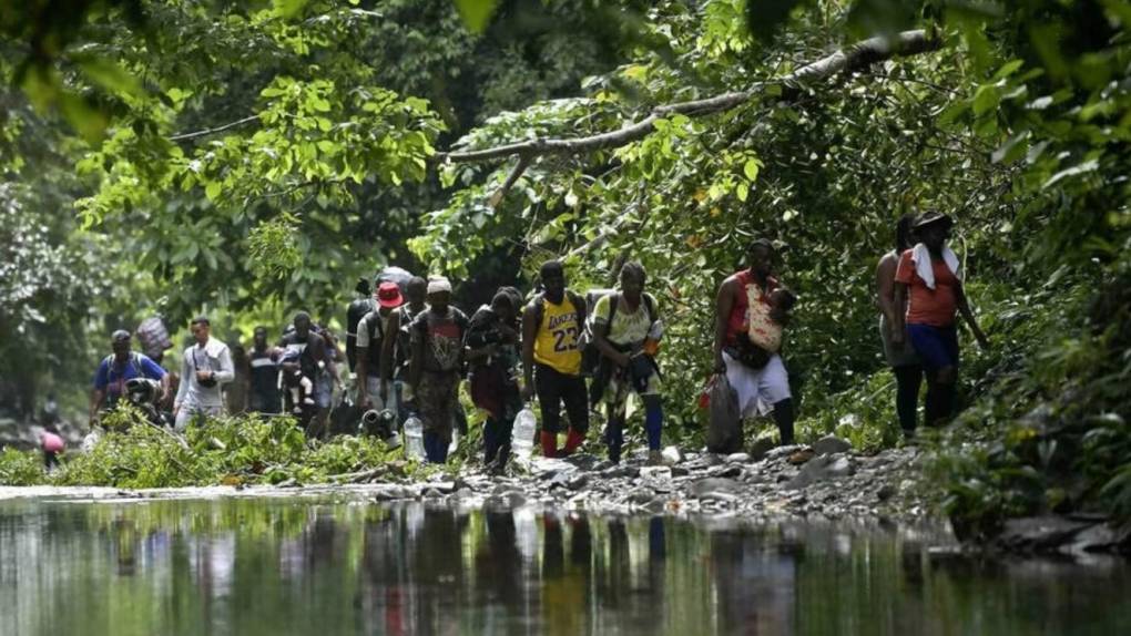 La selva del Darién: mafias, violencia sexual y animales, los peligros del conocido “tapón” de los migrantes