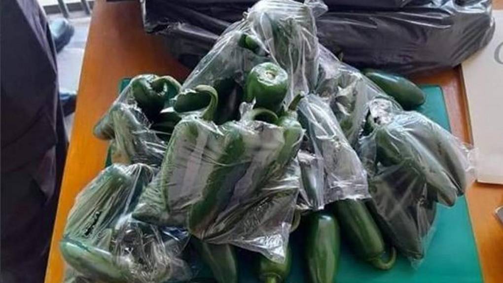 Chiles jalapeños, latas de pintura y encomiendas: las nuevas formas de transportar droga en Honduras