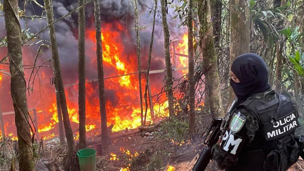 Hojas secas, molidas y plantas de coca: incineran narcolaboratorio en Limones, Catacamas