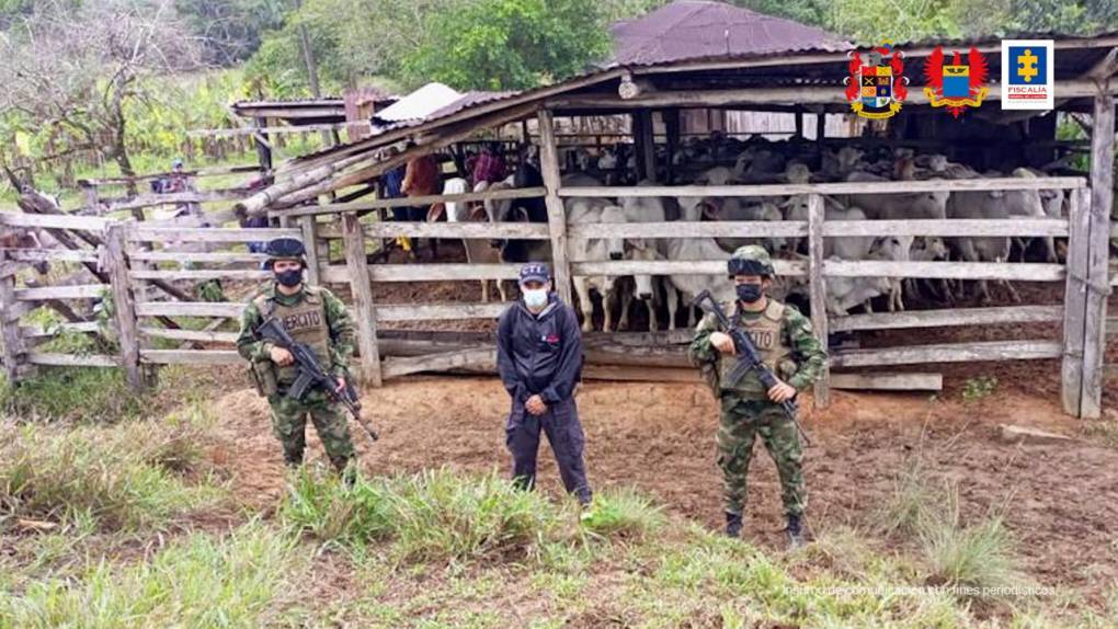 El “Contador” pasó de ser miembro de las Farc a socio del Cartel de Sinaloa