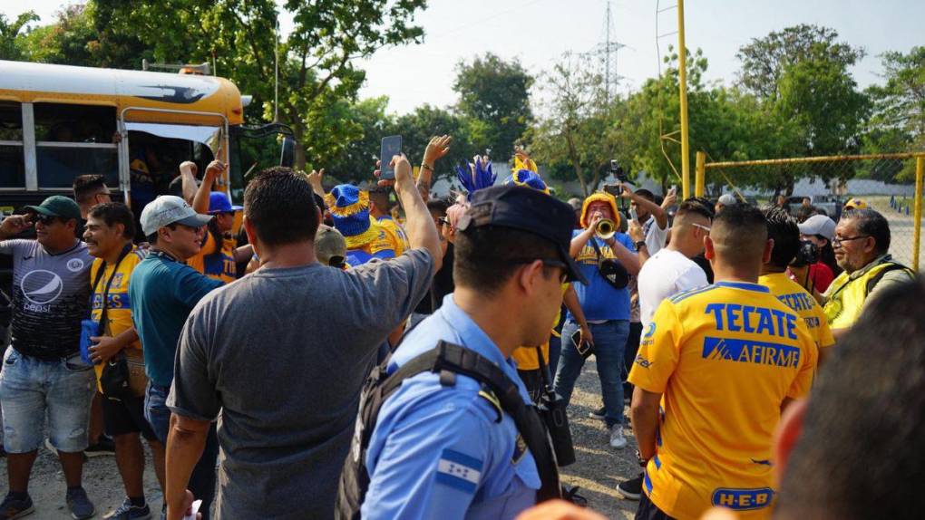 ¡Invasión felina! Barra de Tigres llega al Olímpico para el partido frente a Motagua