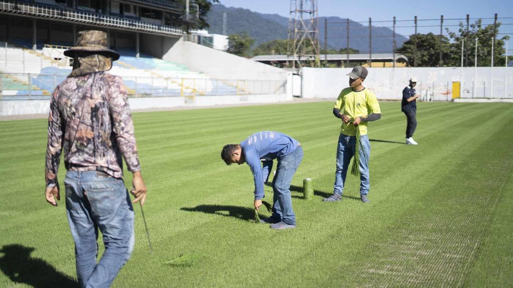 ¡Una lindura! Así quedó la grama híbrida en el estadio Morazán