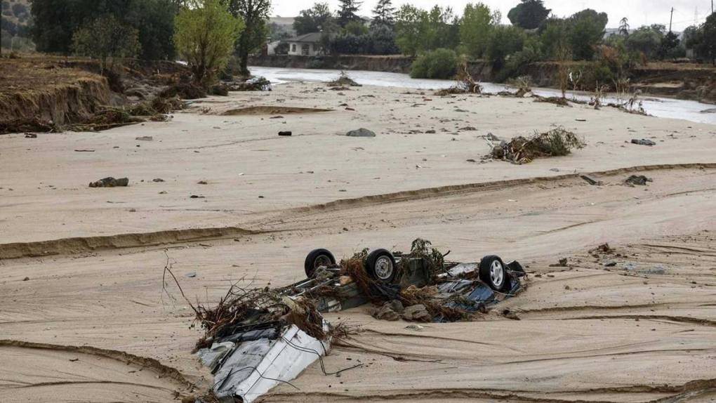 “Abrazado a un árbol por ocho horas”: Ethan, el niño de 10 años que sobrevivió a inundación en Madrid