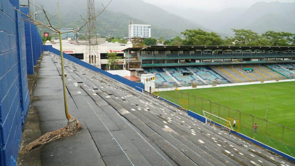 Definen fecha para reapertura del estadio Morazán ¡La grama ya está lista!