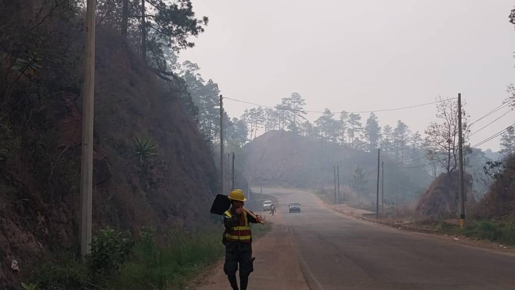 Así consume el bosque incendio desatado en el cerro de Uyuca