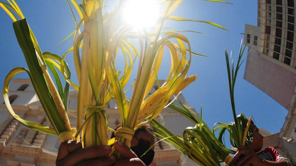 Tegucigalpa se llena de verde y olor a palma en víspera de Domingo de Ramos