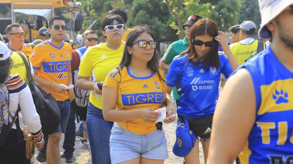 ¡Invasión felina! Barra de Tigres llega al Olímpico para el partido frente a Motagua