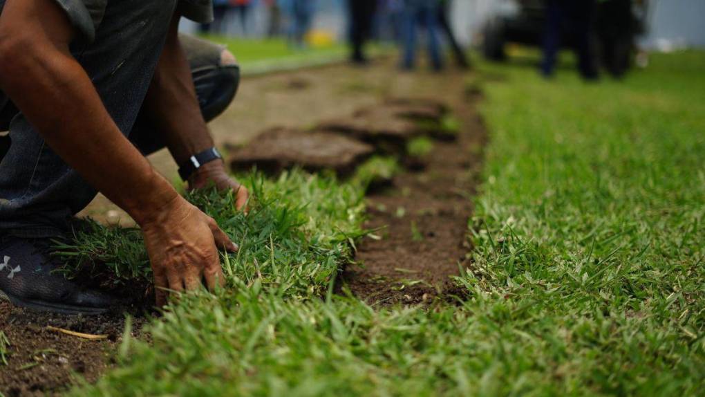 Fin a la pesadilla: comienzan los trabajos para cambiar la grama del Estadio Morazán