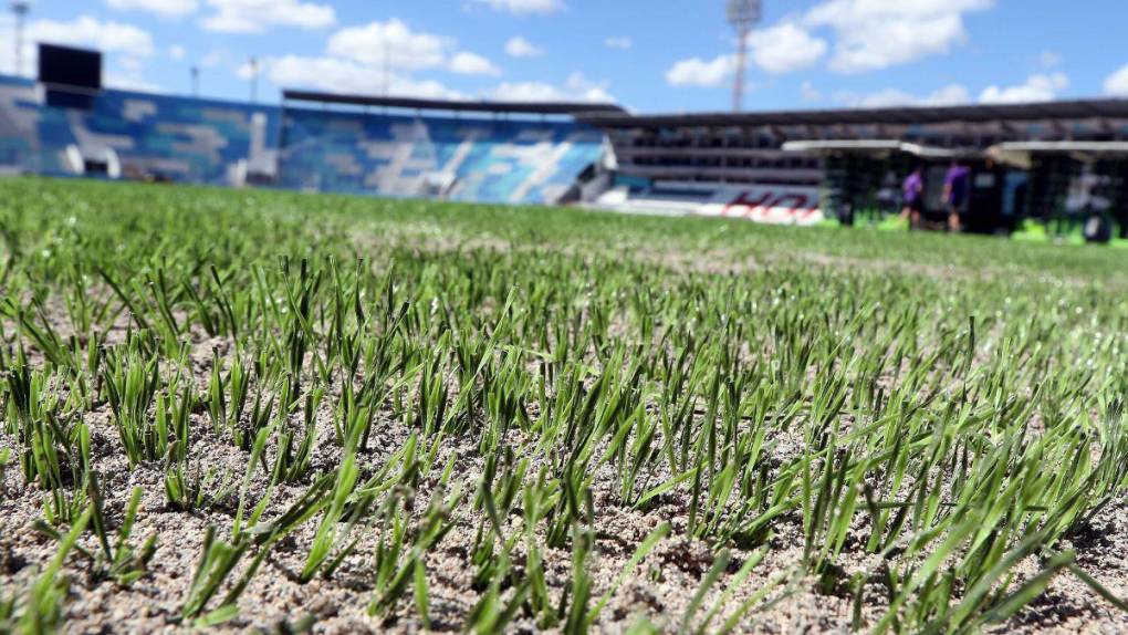 ¡El Nacional se unirá a la lista! Los estadios del mundo que utilizan grama híbrida