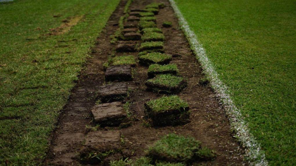 Fin a la pesadilla: comienzan los trabajos para cambiar la grama del Estadio Morazán