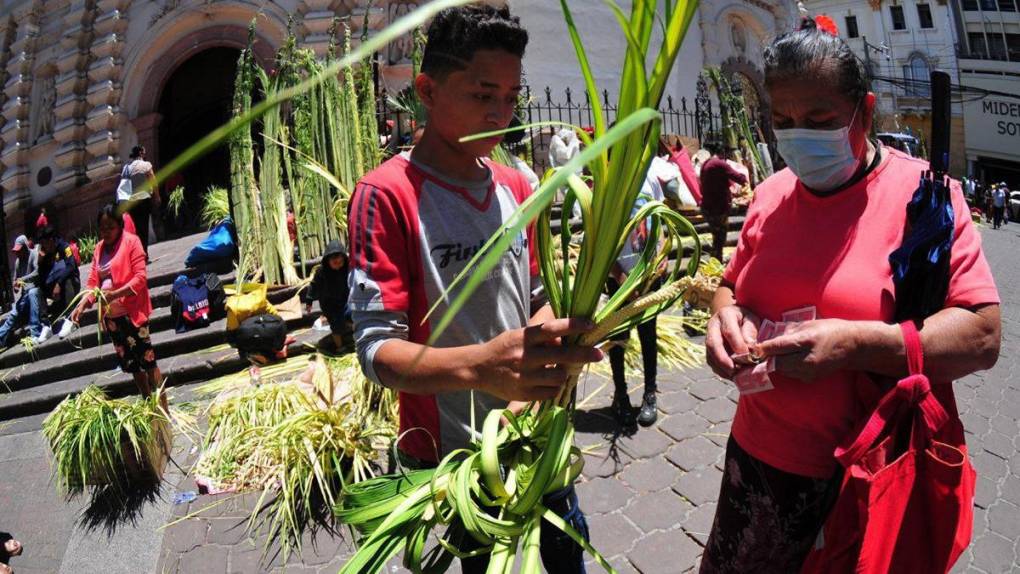 Tegucigalpa se llena de verde y olor a palma en víspera de Domingo de Ramos