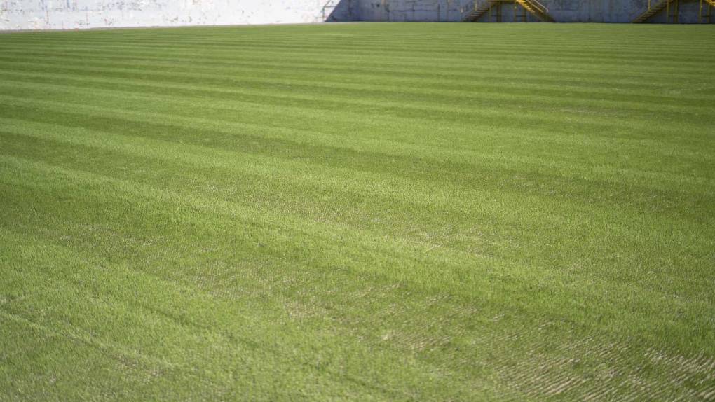 ¡Una lindura! Así quedó la grama híbrida en el estadio Morazán