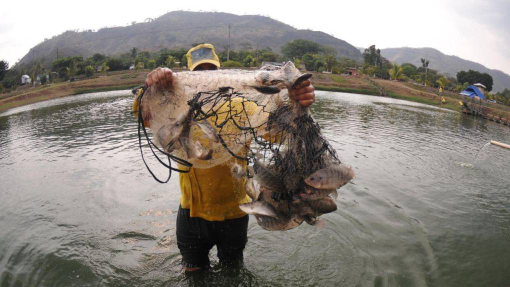 Santa Ana, la cárcel convertida en granja, carpintería y pastelería en El Salvador