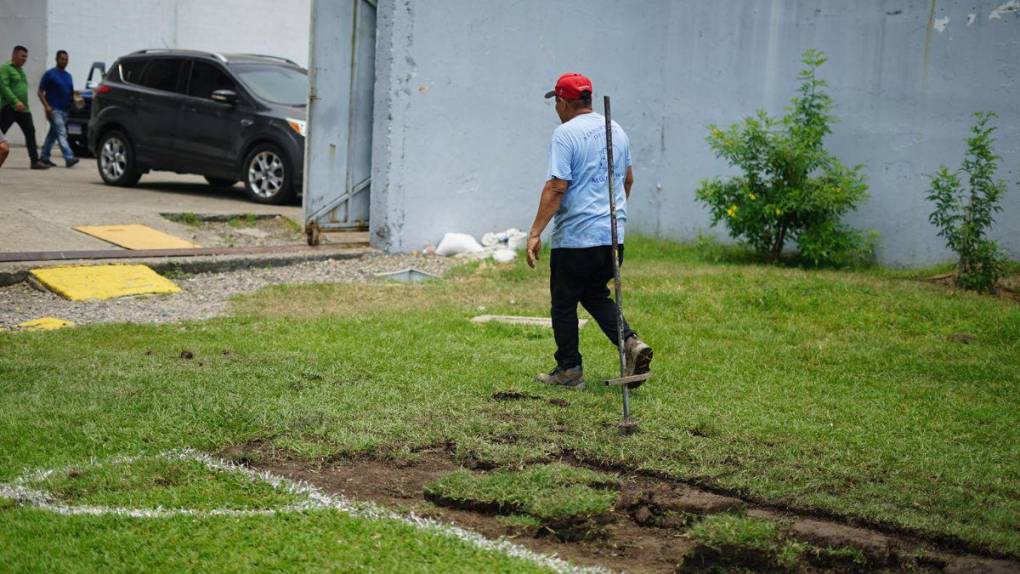 Fin a la pesadilla: comienzan los trabajos para cambiar la grama del Estadio Morazán