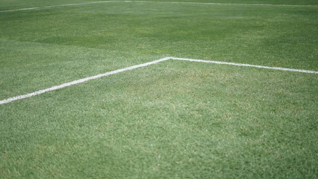 Así quedó la cancha del estadio Yankel Rosenthal tras mejoras ¡100% natural!