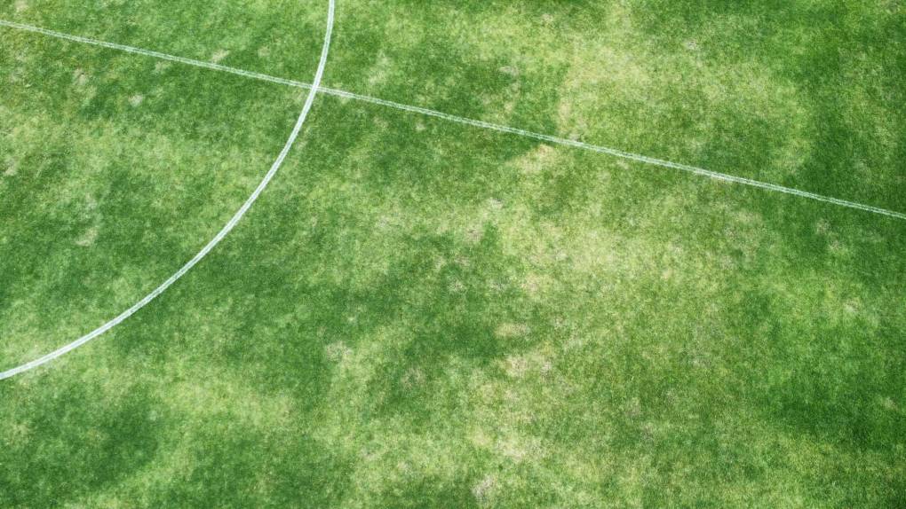 ¿Pésimo estado? Así luce el Estadio Morazán a pocos días del Real España-Olimpia