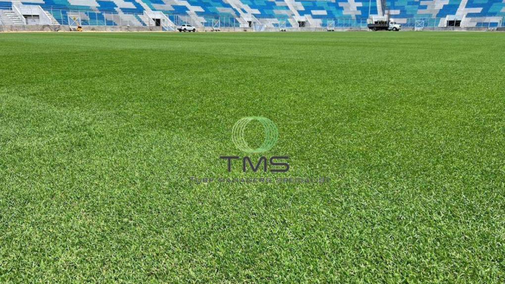 Así luce la nueva grama híbrida del Estadio Nacional